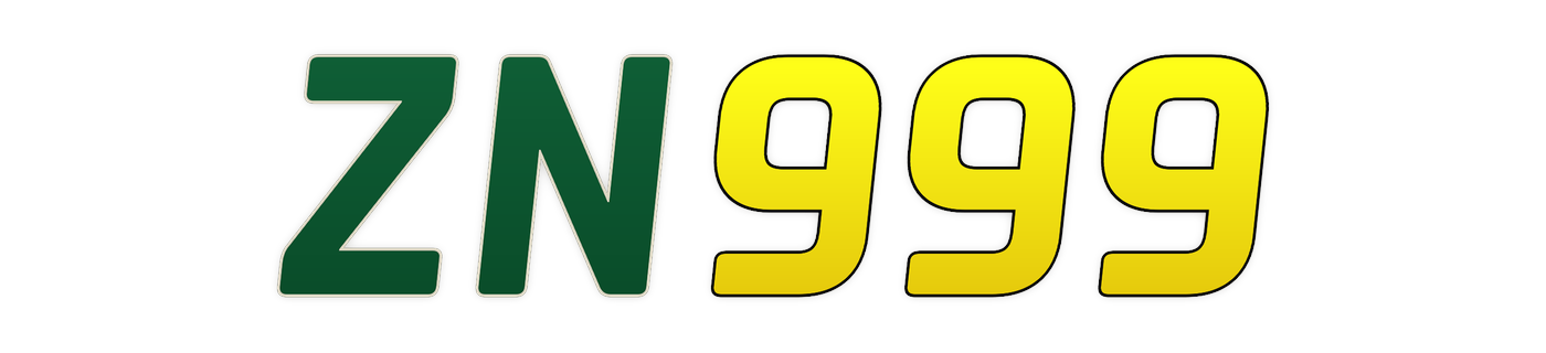 zn999 Logo